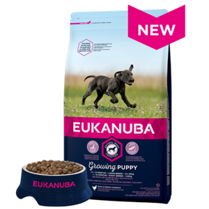 Eukanuba Large Breed puppy food